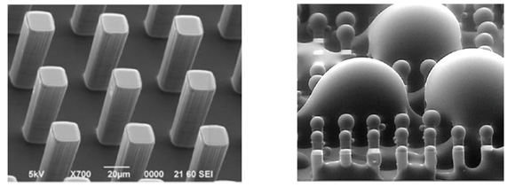 SEM picture of the 50 μm spacing hybrid surface consisting of a micropillar array of hydrophobic and hydrophilic sites. The hybrid surfaces were fabricated through a photolithography process. The tops of the micropillars are hydrophilic. Bottom and side surfaces are hydrophobic. & Water droplets condense on the hybrid surface.